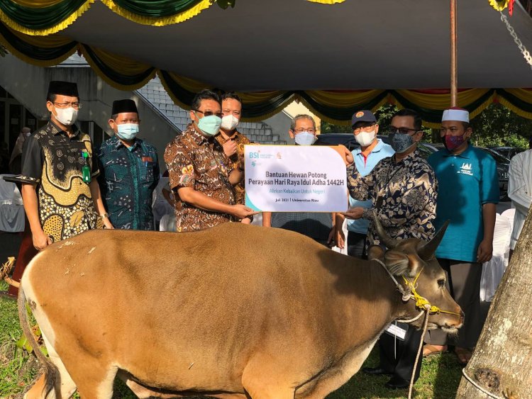 Universitas Riau Terima Bantuan Hewan Kurban dari BSI